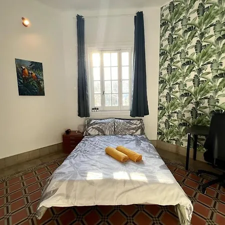 Colonial In Palmas